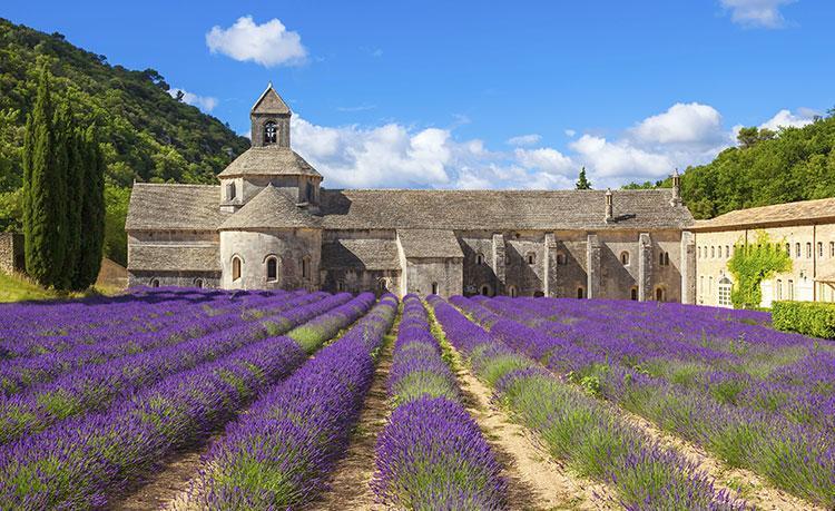 Château Le Martinet Violès Exterior foto